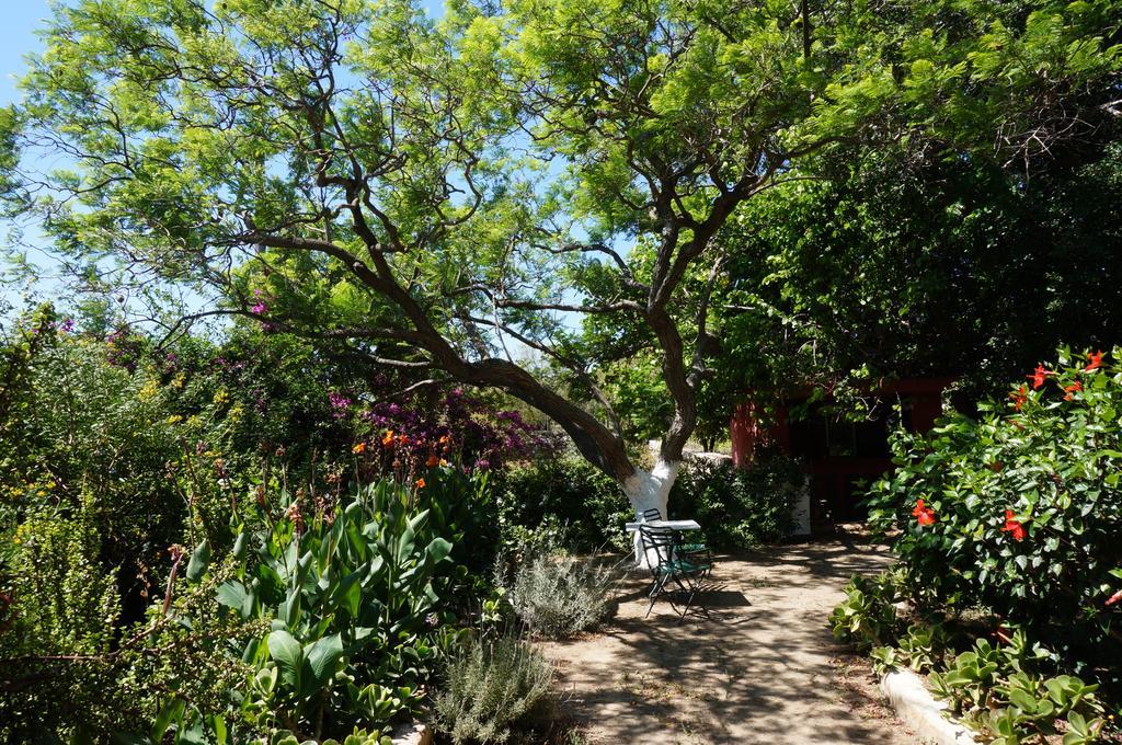 Hotel Archontiko Angelou à Alinda  Extérieur photo
